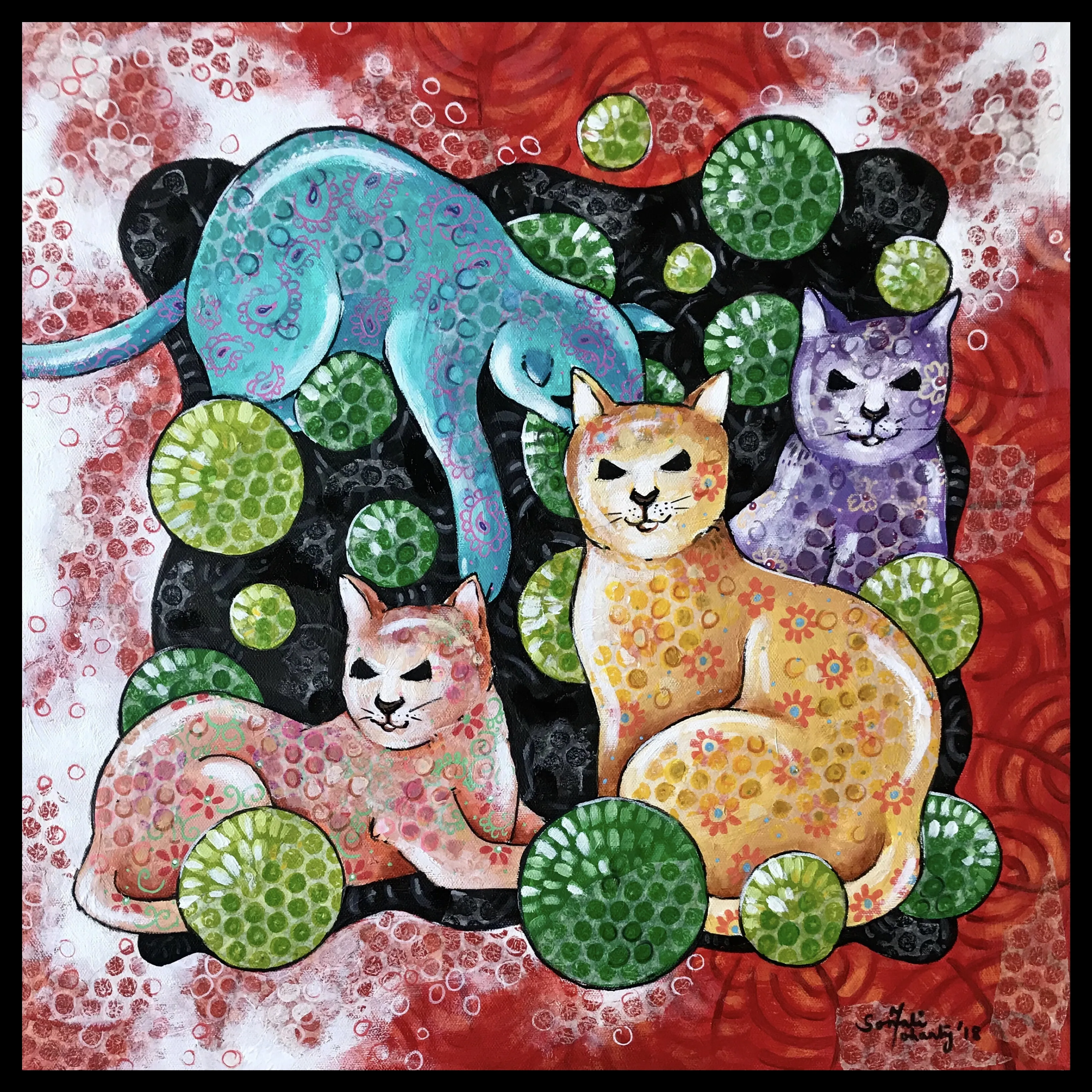 Glaring glaring of cats